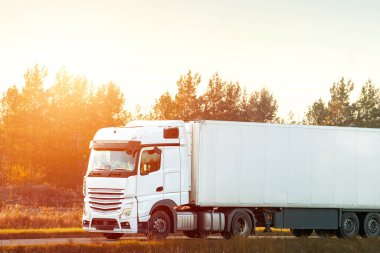 Asfalt yolda hızlı giden nakliye kamyonu