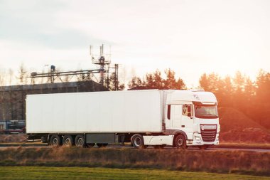 Kargo kamyonu asfalt yolda.