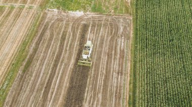 Sonbahar hasadı ile büyük tarladaki hasatçıyı birleştir.