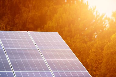 Güneş paneli teknolojisiyle beslenen yeşil mimari evi