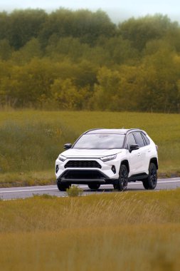 Japonya 'da kırsal yolda modern bir araç yapıldı.