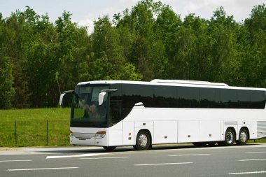 Ağaçların yanına park edilmiş modern beyaz otobüs.