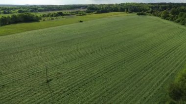 Organik tarlaları ve ağaçları olan panoramik tarım arazisi