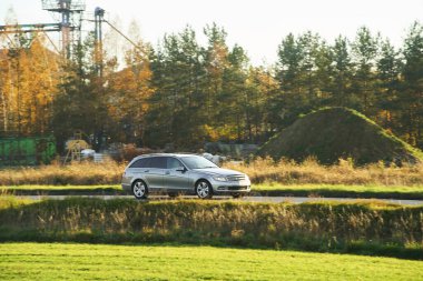 Avrupa aile arabası doğa ortamında