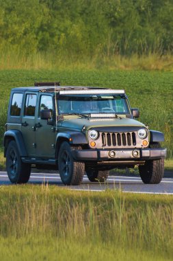 Çerçevesi yemyeşil çimenler ve yükselen ağaçlarla çevrili, asfalt bir yolda ilerleyen bir ceset.