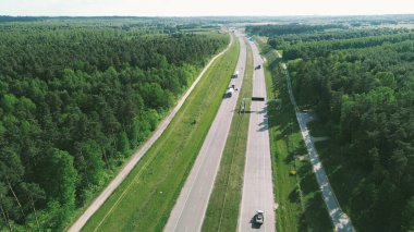 Asfalt yolda güzel yapraklar var.