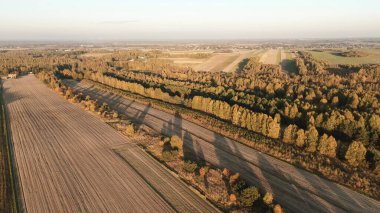 Sonbahar günbatımında orman manzarası