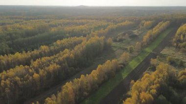 Sonbahar tarlaları ve yukarıdan gelen orman manzarası
