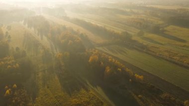 Aerial panorama of fields and autumn woodland