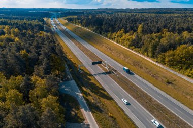 Yoldan geçen araçlarla yemyeşil orman yolu