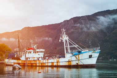 Paslı gemi deniz manzaralı kıyı şeridi boyunca demirlemiş.