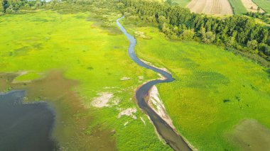 Natural environment with lake and tranquil shore