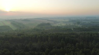 Güneşin doğuşunda sisli sonbahar ormanlarının ve tarım arazilerinin insansız hava aracı görüntüsü