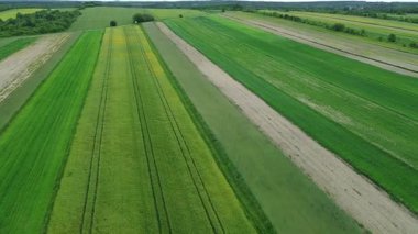 Yeşil tarımsal ekin tarlası hava manzaralı traktör hatları