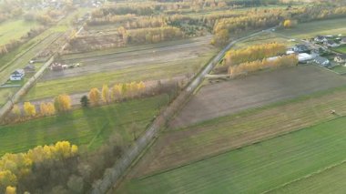 Sonbahar renklerinde tek arabalı manzaralı orman yolu