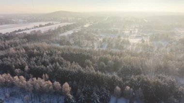 Güneş ışığı karlı ağaçları aydınlatır engin kış sahnesinde