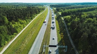Güneşli havada ormanın içinden geçen yol.