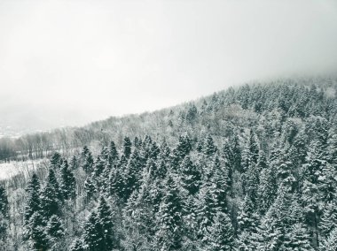 Kar ve buzla kaplı görkemli dağ manzarası
