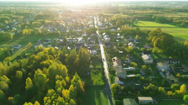 Sakin kırsalda canlı sarı ve portakal ağaçları