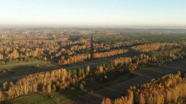 Toprağın ve sonbahar ormanlarının en iyi manzarası