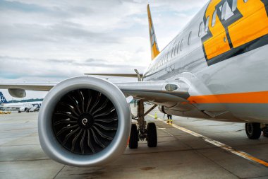 Ryanair Boeing 737 'den BUZZ. Düşük maliyetli havayolu 18.09.2025 Polonya, Avrupa