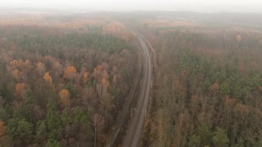 Yeşil ve kahverengi ağaçlar boş tren rotasında.