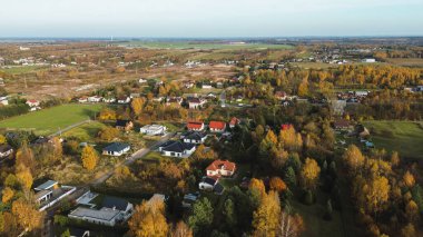 Sonbahar parkında yeşil çimenler ve sarı yapraklar