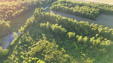 Kırsal Avrupa arazileri ve dağınık ağaçlar üzerinde gün batımı