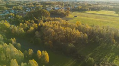 Tarım tarlaları ve orman üzerinde güneşli bir sonbahar günü