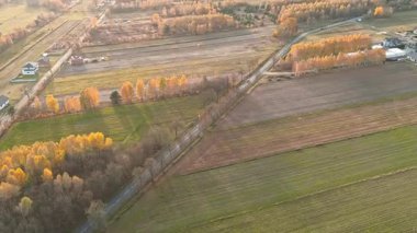 Ormanın ortasında bir araba yolda.