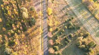 Yol ve sürüş arabalı güzel doğa manzarası