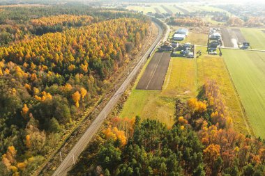 Elektrik hattı sisli ormanda kayboluyor.