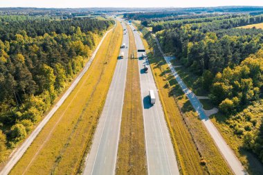 Renkli ormanda düz asfalt yol