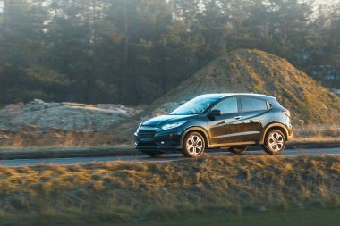 Huzurlu yaz manzarasında otomobil yolculuğu