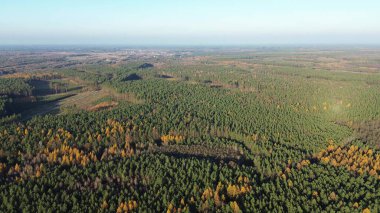 Gün batımında hava manzaralı sonbahar ormanı