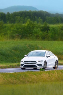 Doğada ilerleyen zarif siyah sedan.