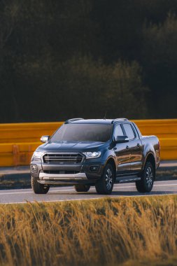 Çimenli arazide seyahat eden engebeli bir kamyonet.