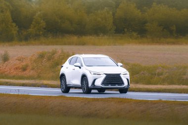 Japonya 'da kırsal yolda modern bir araç yapıldı.