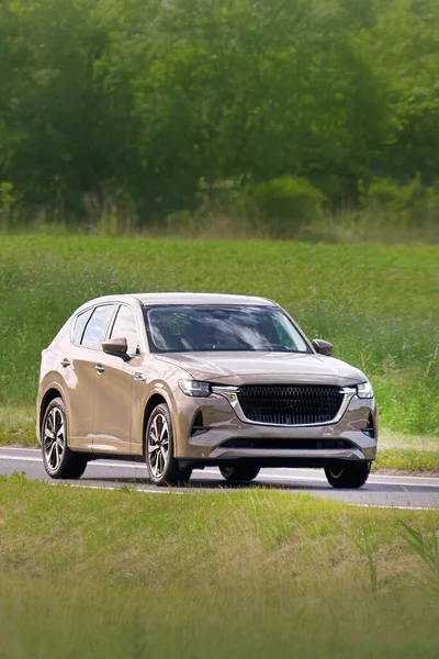 Japon arabaları performans ve konforu birleştiriyor