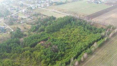 Genç ağaçlarla yeniden ağaçlandırma projesinin havadan görünüşü