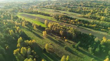 Toprağı yeşil çayırların ve ağaçların yanına sürdüm.