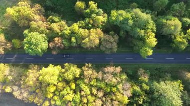 Sonbahar ormanı boyunca giden arabanın hava manzarası.