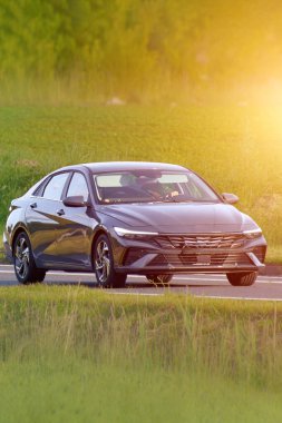 Kırsal yolda modern iş otomobili