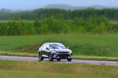 Doğada çapraz SUV gezisi