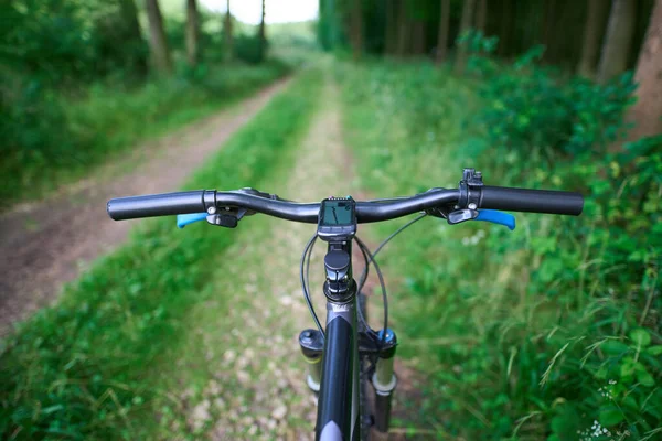 POV açısıyla orman yolunda hız yapıyor.