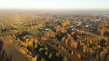 Sarı ağaçlar ve evler ile güzel sonbahar manzarası
