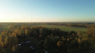 Sarı huş ağaçları ve çimleri olan kırsal bir manzara.