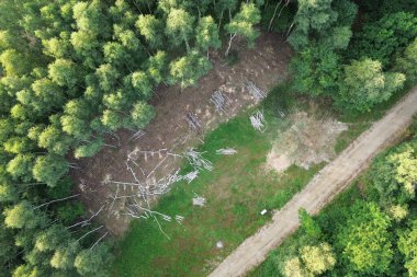 Aerial shot of cleared forest land for construction project