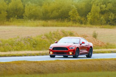 Parlak spor coupe manzaralı kırsal yolda sürüyor