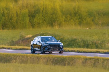 Yeşil alandan geçen rahat bir SUV.